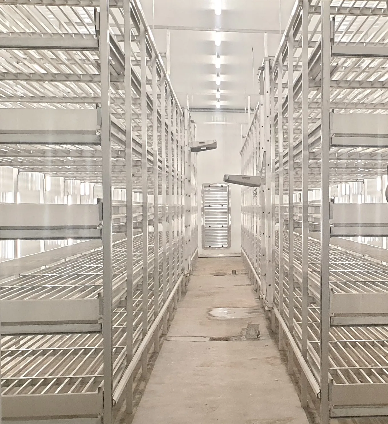 Aluminium shelving in Sadaf grow rooms — portrait view